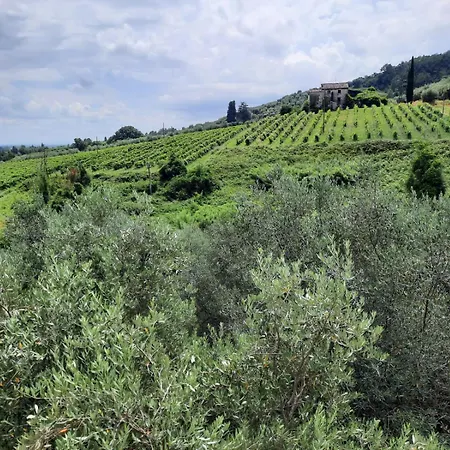 דירה Colline Lucchesi לוקה
