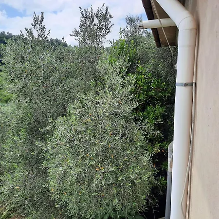 Colline Lucchesi Appartement