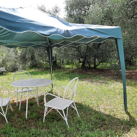 Colline Lucchesi לוקה